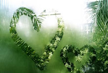 天涯鬼话十大神贴大揭秘