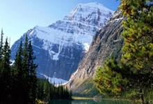 天涯顶级神贴大揭秘：那些让人high翻天的论坛经典